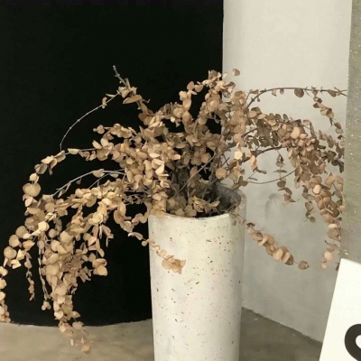 政和FurryQQ群介绍